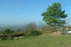 DSCF0015