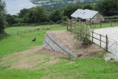 IMG_0177