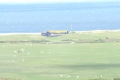 DSCF7009