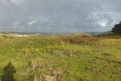 Crantock-Pour-006