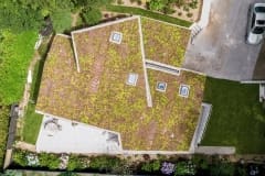 Doyal-Whitley-Newton-Ferris-Roof-10